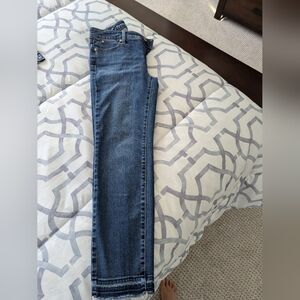 Talbots Flawless Slim Ankle Pant Size 2P